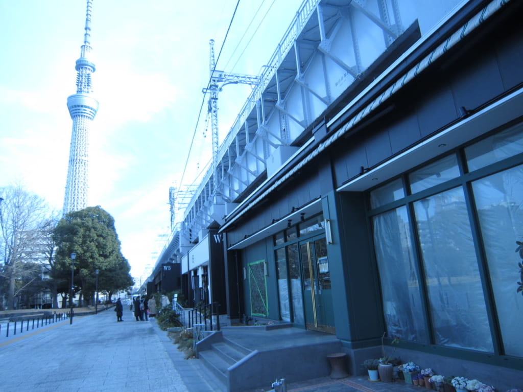 ジャックスワイフフリーダ