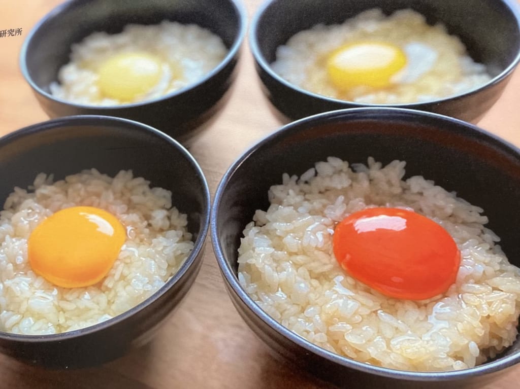 maboroshinotamagoイメージ