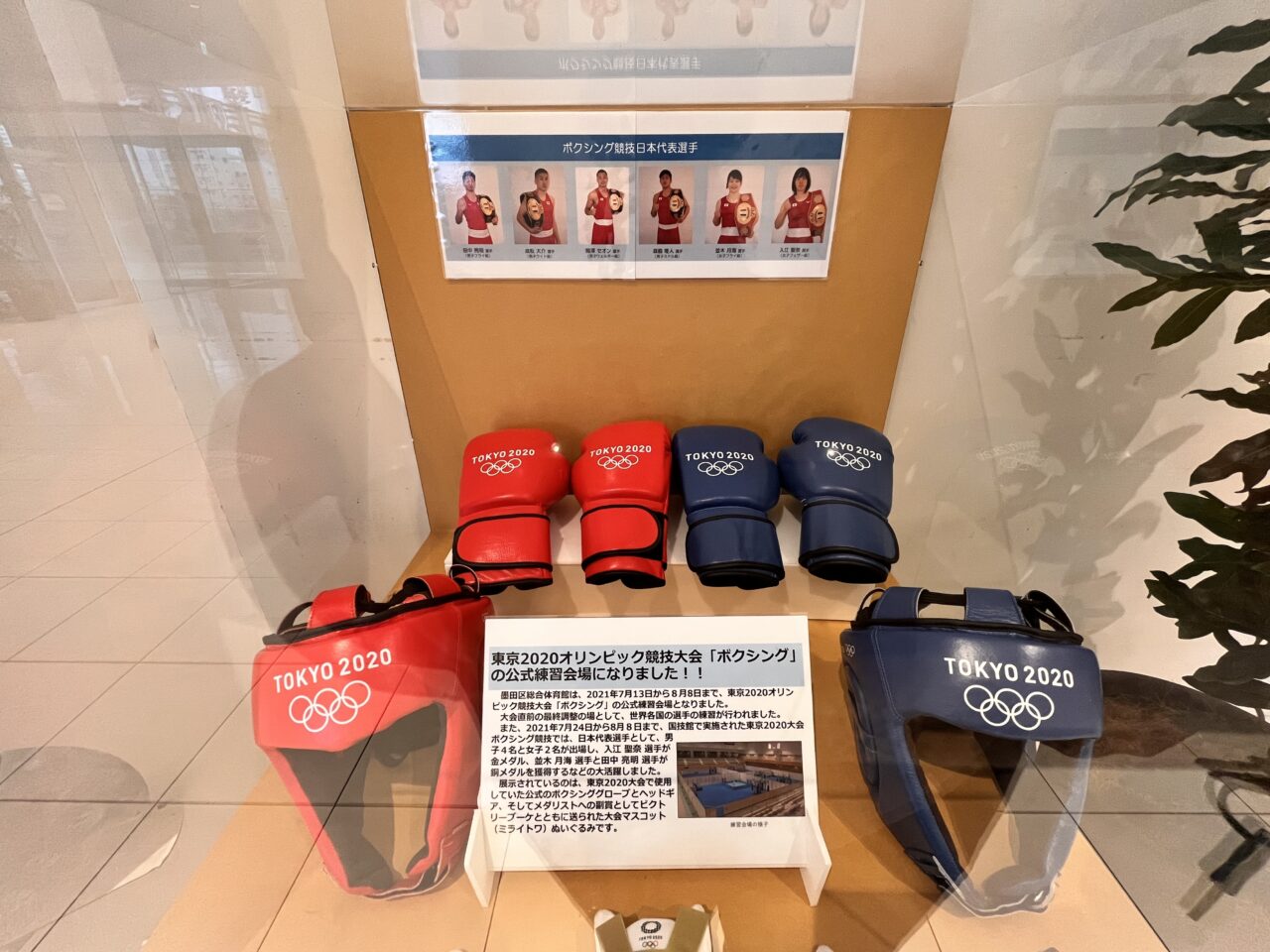 ボクシング展示