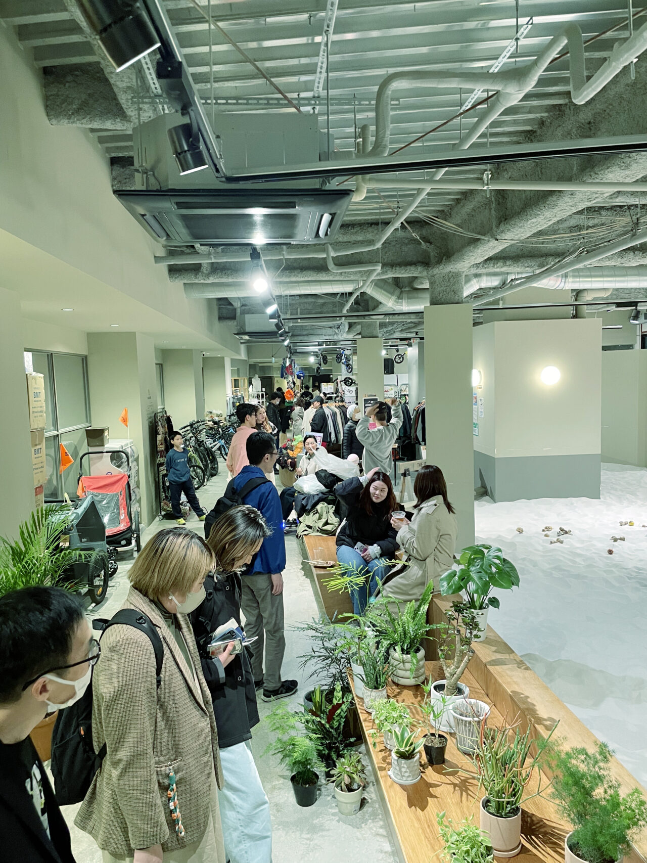 名前はまだない２-3