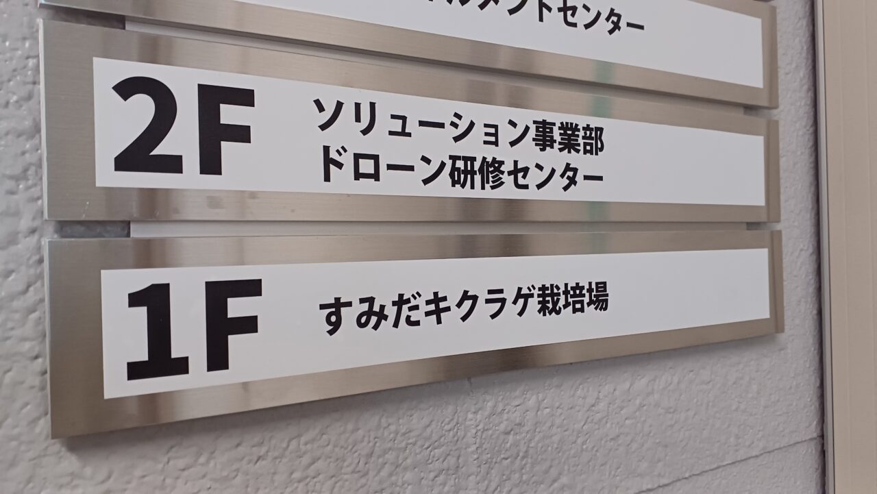 きくらげフロア