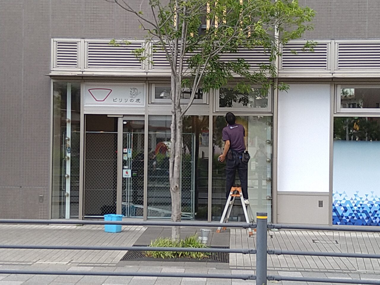 ピリリの虎提供画像