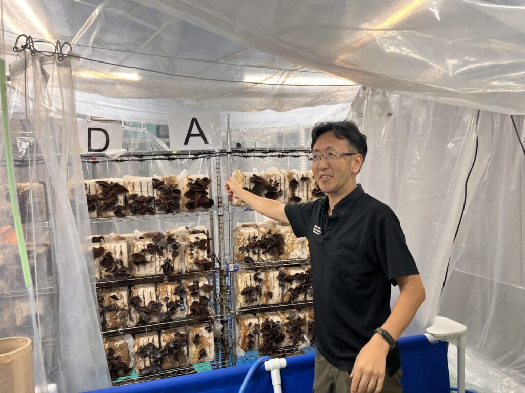 きくらげ工場１