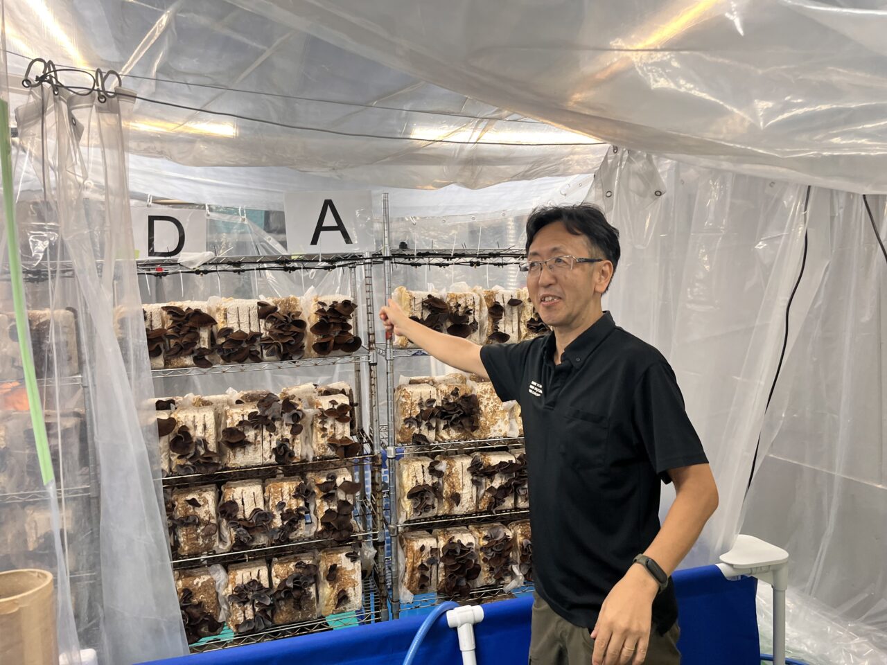 きくらげ工場１