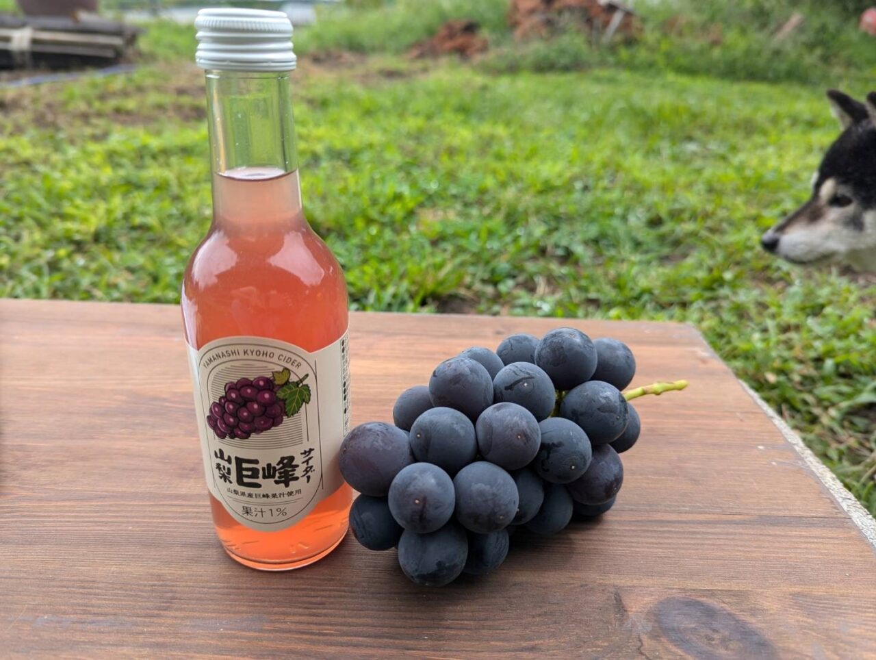 山賊ぶどう2025-3