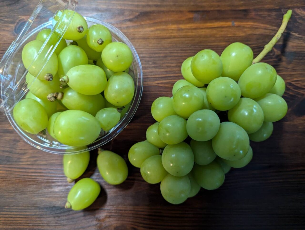 山賊ぶどう2025-1