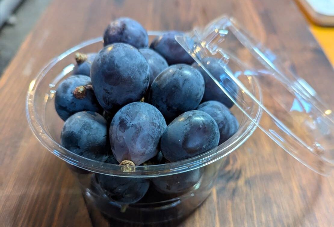 山賊ぶどう2025-2