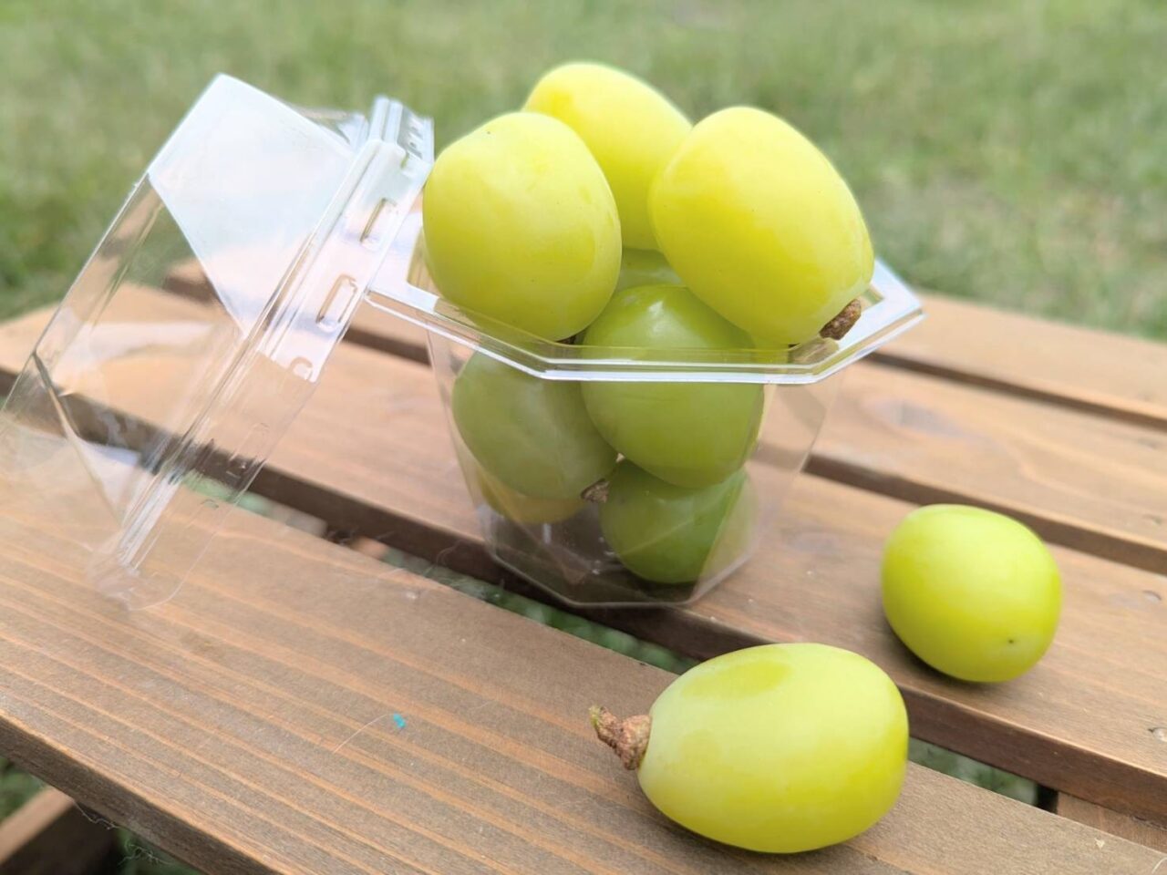 山賊ぶどう2025-4