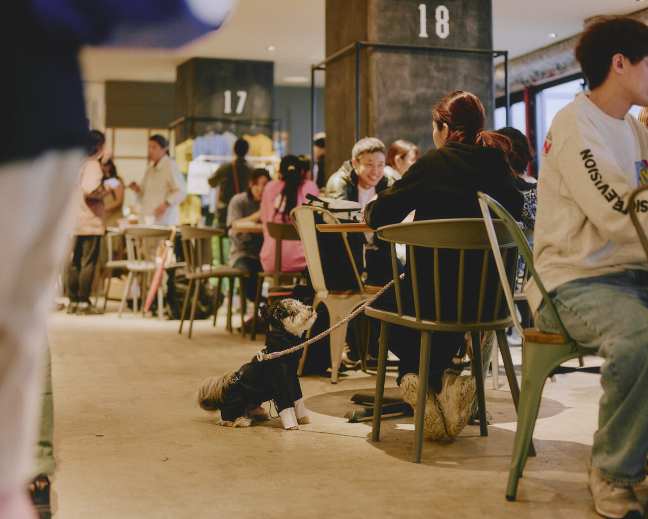 名前はまだない３-4