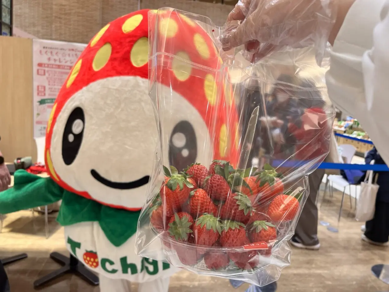 イチゴバイキング３