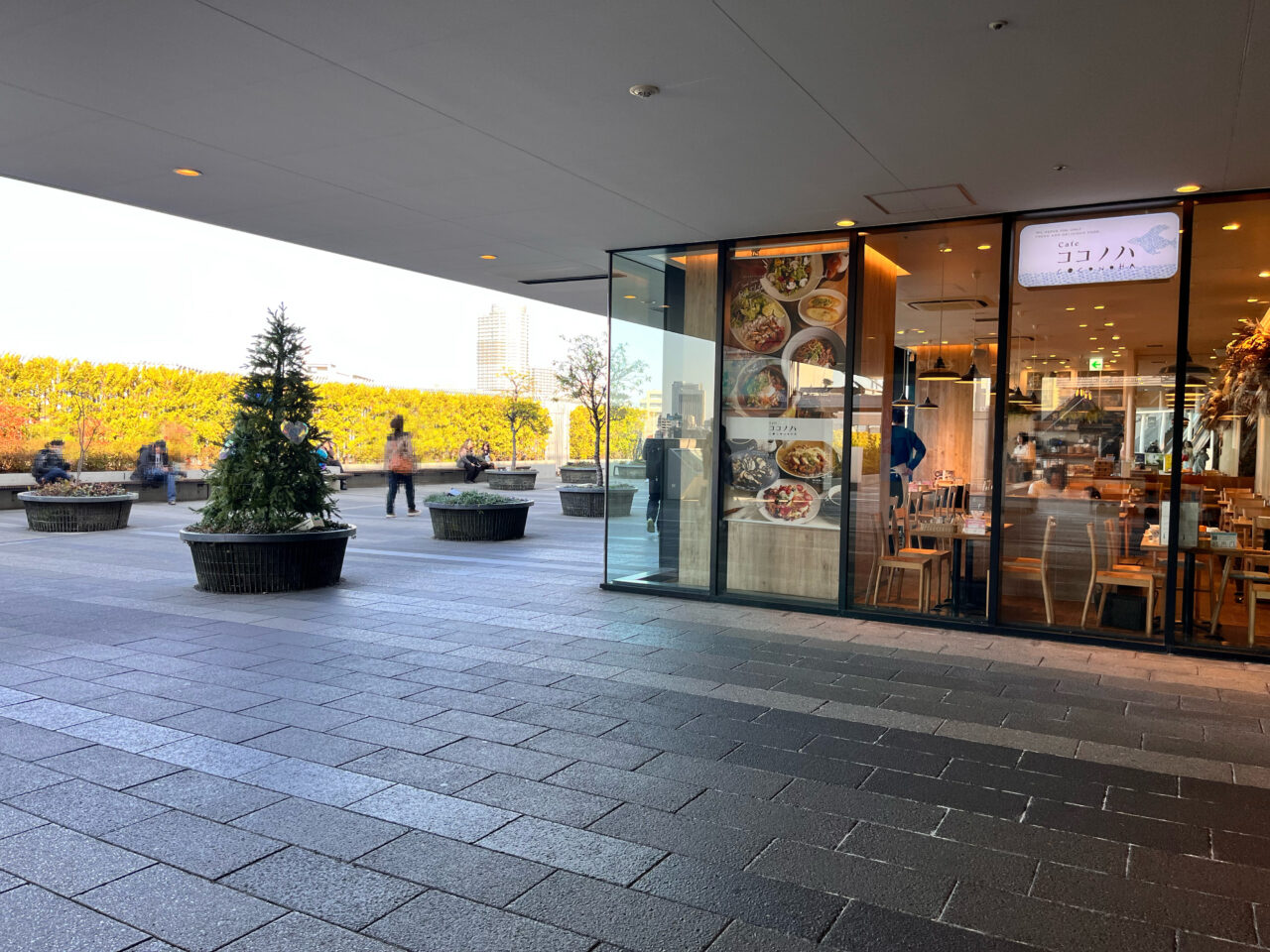 ココノハ外観１