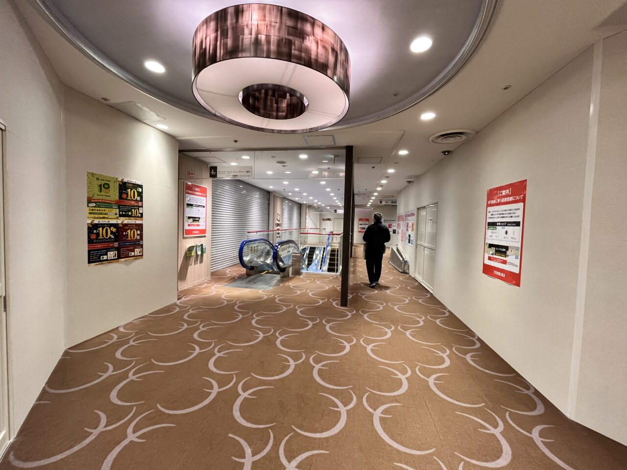 テルミナ20260120-4