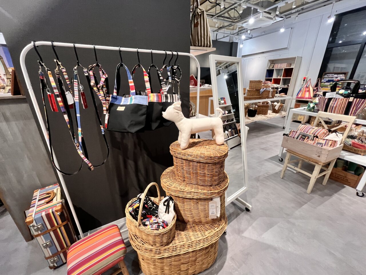 Les Toiles du Soleil6