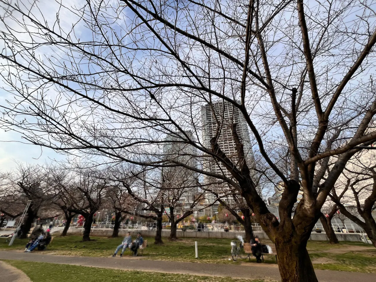 2026錦糸公園桜まつり1