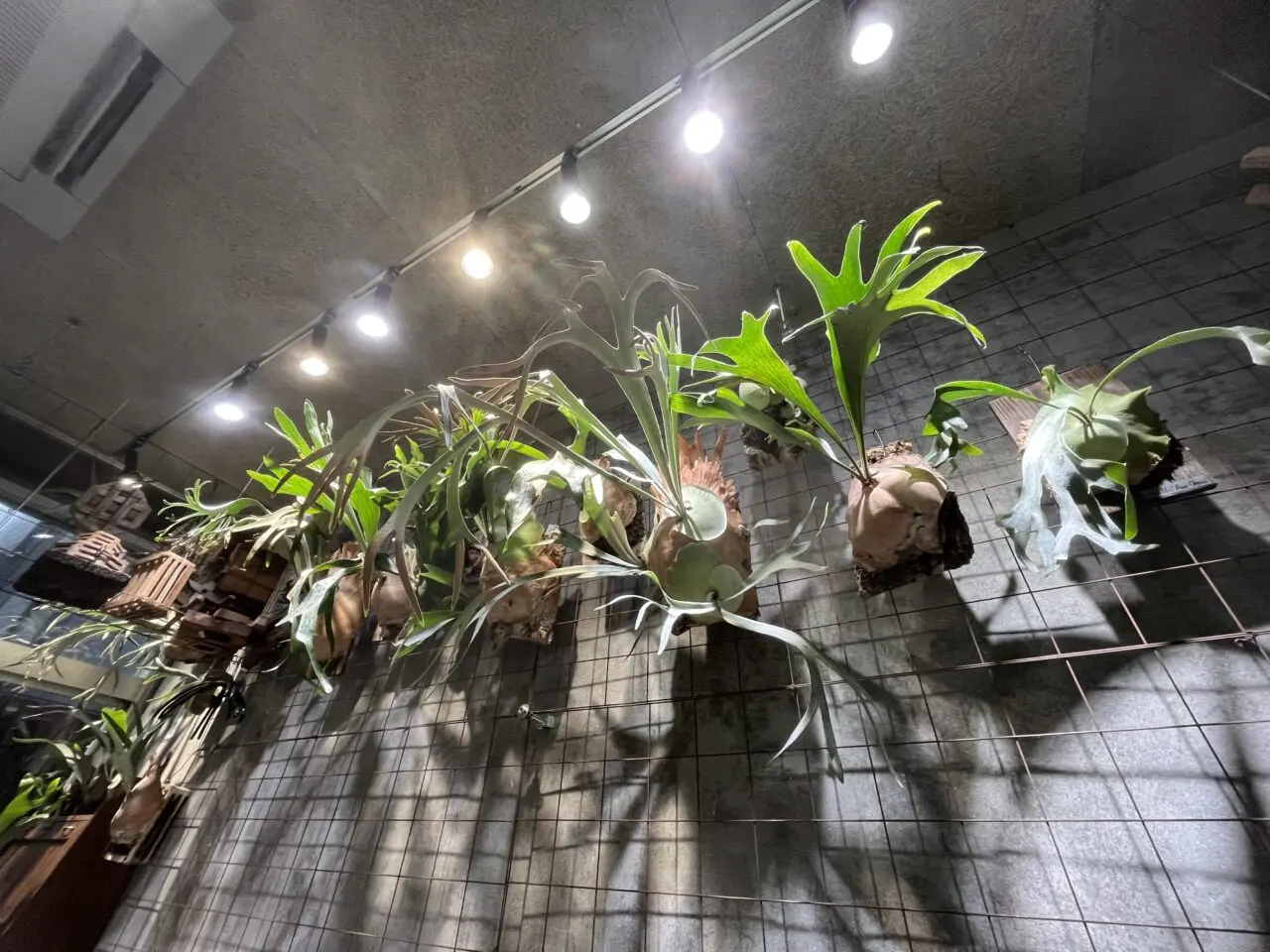 cyosuiyo0829-2