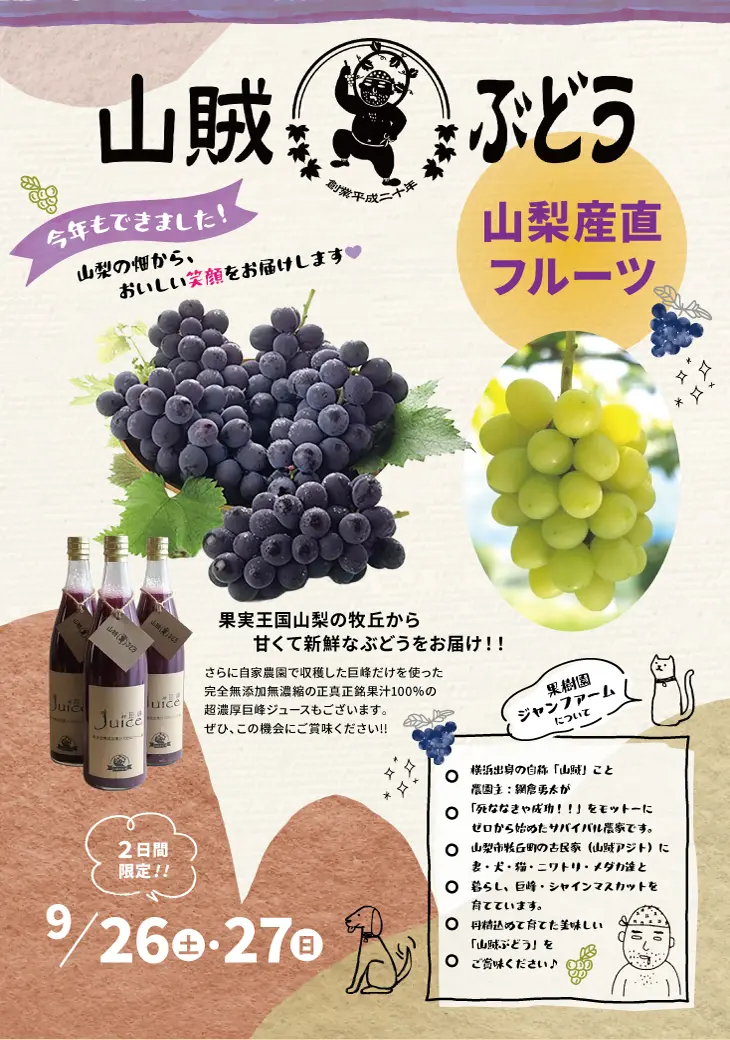 山賊ぶどう